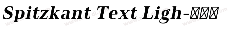 Spitzkant Text Ligh字体转换